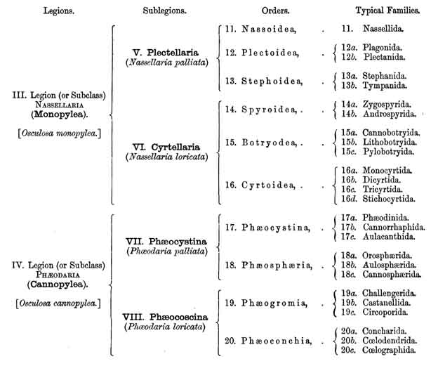 Radiolaria Classification (cont)