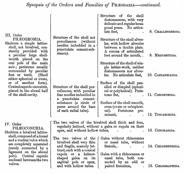 Phaeodaria Synopsis (Contd)